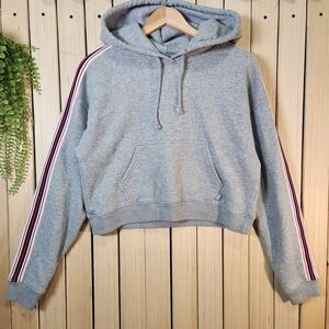TNA Hoodie The Iconic Cropped Hoodie Grey with Red Striped Sleeves Aritzia